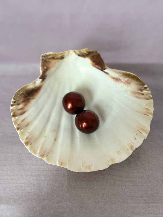 Perle de bain parfum vanille des îles